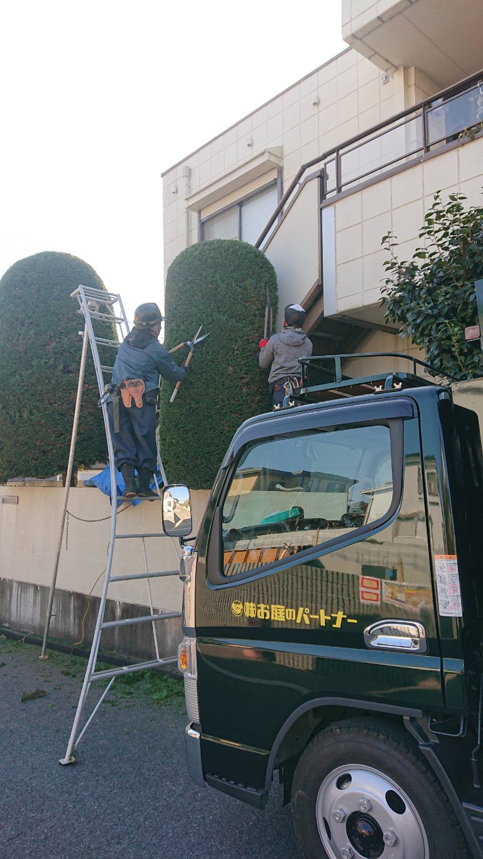 松戸市ａ様邸 カイヅカイブキ 株式会社お庭のパートナー